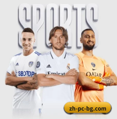 从比分速递到赛后复盘的完整链路 - 多运动项目内容板块